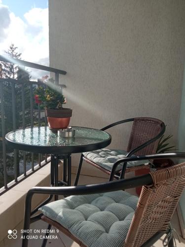 Apartment Anagastum in Niksic Apartment Anagastum in Niksic