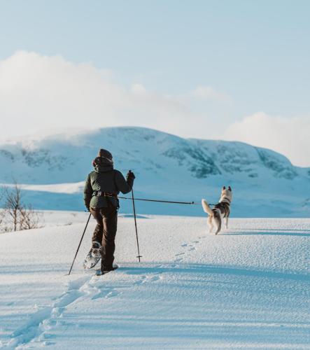 Atracciones, Highland Lodge Fjellandsby in Geilo Atracciones, Highland Lodge Fjellandsby in Geilo