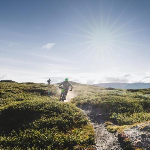 Atracciones, Highland Lodge Fjellandsby in Geilo Atracciones, Highland Lodge Fjellandsby in Geilo