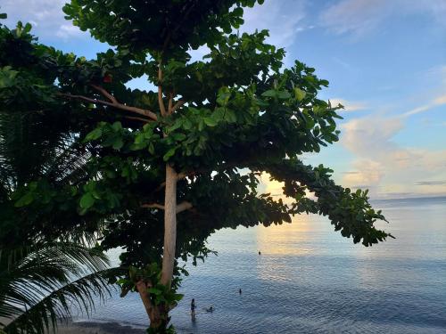 Mayets Seaside Treehouse in San Agustin (Surigao del Sur) Mayets Seaside Treehouse in San Agustin (Surigao del Sur)