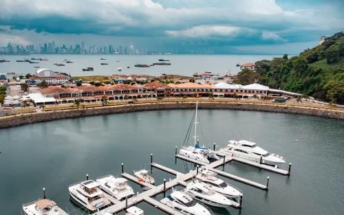 MARINN Tropical Vibes Hotel in Panama City MARINN Tropical Vibes Hotel in Panama City