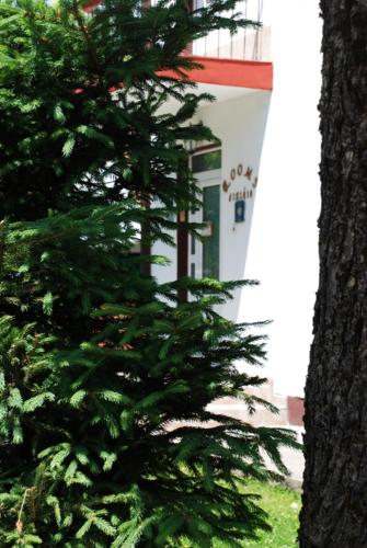 Rooms Lisicic in Kolasin Rooms Lisicic in Kolasin