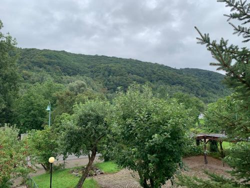 Moselina Ferienwohnungen in Sankt Aldegund Moselina Ferienwohnungen in Sankt Aldegund