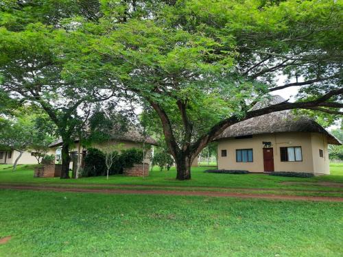 Whistling Woods in Empangeni Whistling Woods in Empangeni