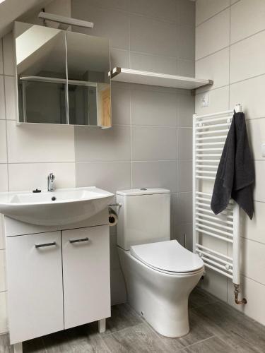 Pension Pošta (Pension Posta) in Branna Pension Pošta (Pension Posta) in Branna