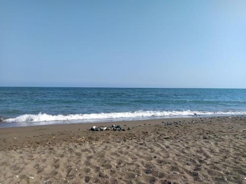 Beach, Liparis - апартаменты с видом на море in Erdemli Beach, Liparis - апартаменты с видом на море in Erdemli