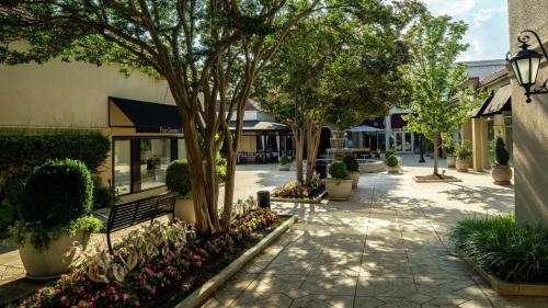 رياضة و نشاطات, أجنحة دبل تري باي هيلتون شارلوت ساوثبارك (DoubleTree Suites by Hilton Charlotte Southpark) in مركز مدينة شارلوت رياضة و نشاطات, أجنحة دبل تري باي هيلتون شارلوت ساوثبارك (DoubleTree Suites by Hilton Charlotte Southpark) in مركز مدينة شارلوت