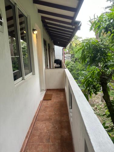 Mango Tree Budget Home Stay in Homagama Mango Tree Budget Home Stay in Homagama