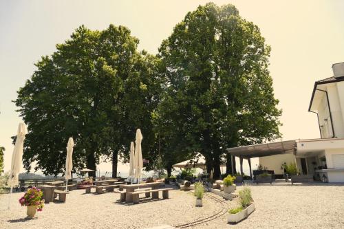 バルコニー/テラス, Hotel & Restaurant Nollen in ミュンヒヴィーレン バルコニー/テラス, Hotel & Restaurant Nollen in ミュンヒヴィーレン