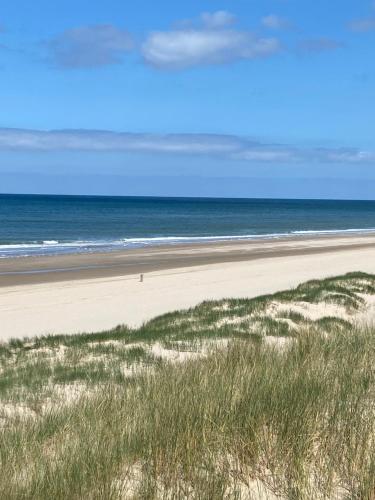 Beach, sunshine in Camperduin Beach, sunshine in Camperduin