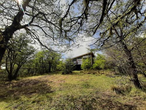 Cabaña entre Bosque y Cordillera (Cabana entre Bosque y Cordillera) in Lonquimay Cabaña entre Bosque y Cordillera (Cabana entre Bosque y Cordillera) in Lonquimay