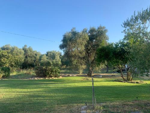 Casa colonica di campagna come era una volta in Peschici Casa colonica di campagna come era una volta in Peschici