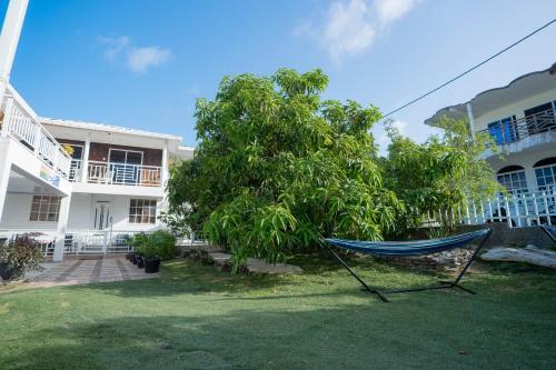 Posada Jasmina Place in โปรวิเดงเซีย Posada Jasmina Place in โปรวิเดงเซีย