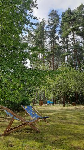 A környék, Pasieka Dobro i Smak in Lochow A környék, Pasieka Dobro i Smak in Lochow