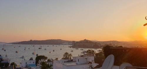 Sarıaslan home uc artı bir in Bodrum Sarıaslan home uc artı bir in Bodrum
