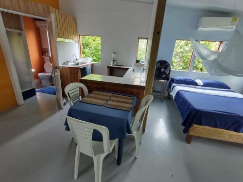 Bellavista - Blue Lizard Studio in Providencia Bellavista - Blue Lizard Studio in Providencia