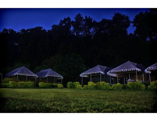 Taman, Derra Camp & Resort, Dehradun in Jhajra Taman, Derra Camp & Resort, Dehradun in Jhajra