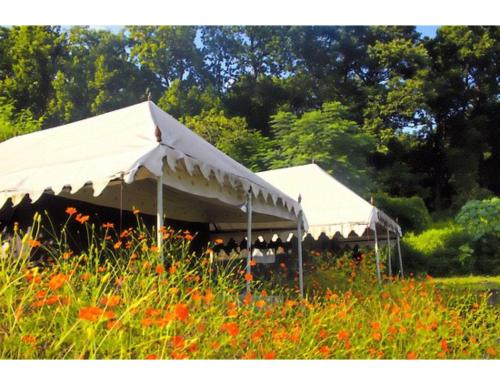 Taman, Derra Camp & Resort, Dehradun in Jhajra Taman, Derra Camp & Resort, Dehradun in Jhajra