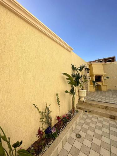 Luxury Rooftop Wifi, Ac, Bbq in Mahdia Luxury Rooftop Wifi, Ac, Bbq in Mahdia