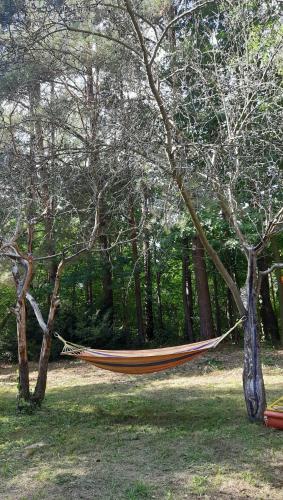 A környék, Pasieka Dobro i Smak in Lochow A környék, Pasieka Dobro i Smak in Lochow