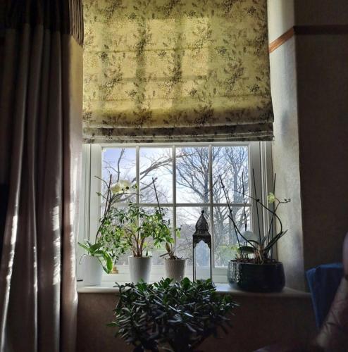 Room in a Cosy Cottage close to Cardiff City Centre in كالفر هاوس كروس Room in a Cosy Cottage close to Cardiff City Centre in كالفر هاوس كروس