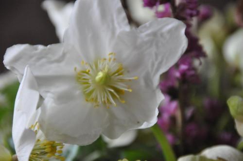 This photo about Fruhstuckspension Seeberghof shared on HyHotel.com