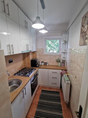 Apartament Ocnele Mari in Ocnele Mari Apartament Ocnele Mari in Ocnele Mari
