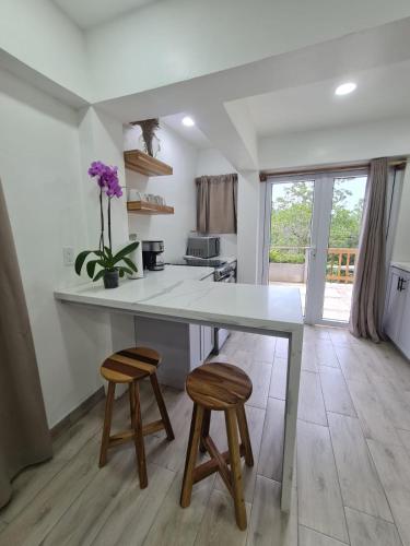 Casa Colibri in มิลตัน ไบท์ Casa Colibri in มิลตัน ไบท์