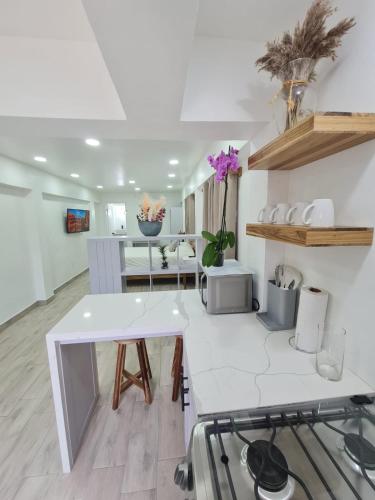 Margarita Lodge in Milton Bight Margarita Lodge in Milton Bight