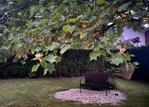 Haus mit Garten in Eugendorf Haus mit Garten in Eugendorf
