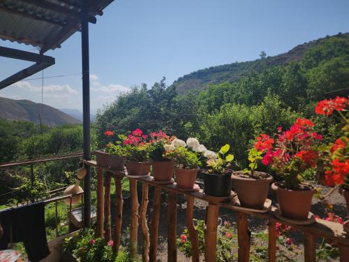 MyhomeIsYourhome in Aghavnadzor MyhomeIsYourhome in Aghavnadzor