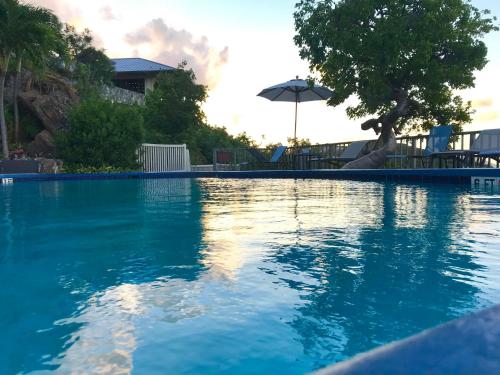 Swimming pool, Mermaid Escape! Remodeled-Amazing Views! Couples Getaway! in Smith Bay Swimming pool, Mermaid Escape! Remodeled-Amazing Views! Couples Getaway! in Smith Bay