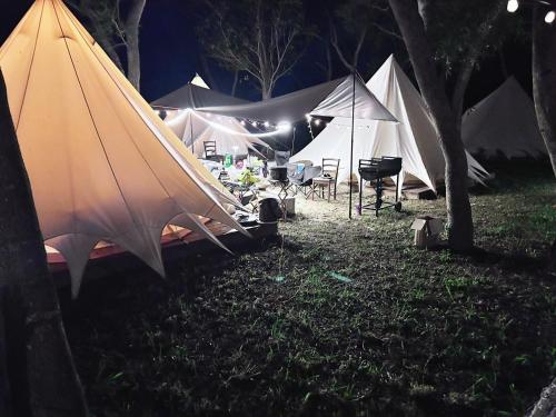 Touching Camping in Dajia District Touching Camping in Dajia District