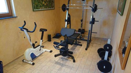 Fitness center, Hotel und Berggasthof Zum Sonnenhof in Oberharz am Brocken Fitness center, Hotel und Berggasthof Zum Sonnenhof in Oberharz am Brocken