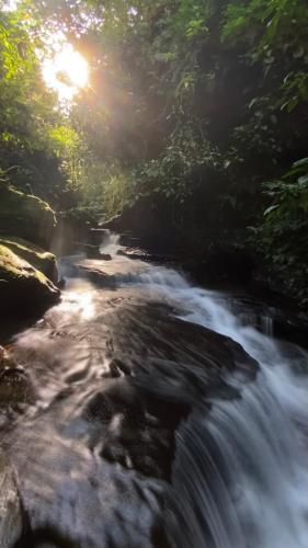 Közeli látványosságok, Hostal Amazónico Bello Amanecer (Hostal Amazonico Bello Amanecer) in Lago Agrio Közeli látványosságok, Hostal Amazónico Bello Amanecer (Hostal Amazonico Bello Amanecer) in Lago Agrio
