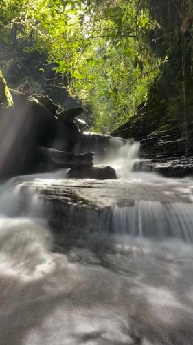 Közeli látványosságok, Hostal Amazónico Bello Amanecer (Hostal Amazonico Bello Amanecer) in Lago Agrio Közeli látványosságok, Hostal Amazónico Bello Amanecer (Hostal Amazonico Bello Amanecer) in Lago Agrio