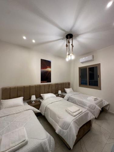 Jasmine flower hostel in Madaba Jasmine flower hostel in Madaba