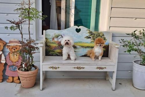 동피랑 독채 펜션 #중앙시장 #반려견 (Dongpirang Private Pension #jungangmarket #petfriendly) in 중앙동 동피랑 독채 펜션 #중앙시장 #반려견 (Dongpirang Private Pension #jungangmarket #petfriendly) in 중앙동