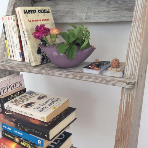 This photo about Bluelife shared on HyHotel.com