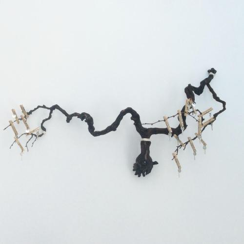 This photo about Bluelife shared on HyHotel.com