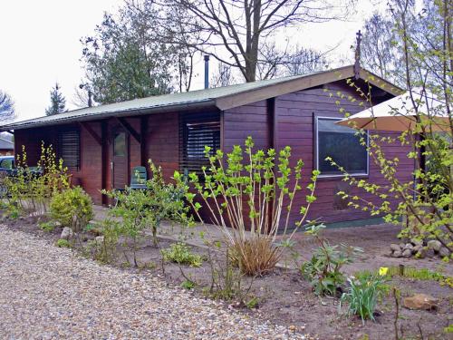 Exterior view, Tidy chalet with a microwave, in the Achterhoek in Dinkelland Exterior view, Tidy chalet with a microwave, in the Achterhoek in Dinkelland