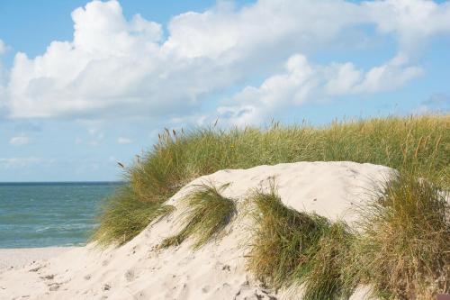 Beach, Michels Ferienwohnung Schone Aussicht in Grossmorsum Beach, Michels Ferienwohnung Schone Aussicht in Grossmorsum