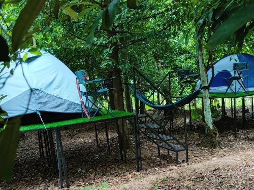 Dragster Tents in Chalakudy Dragster Tents in Chalakudy