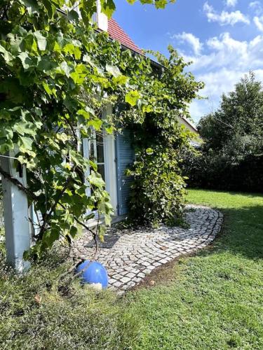 Sonnige Wohnung mit Garten am frankischen Seenland in Kammerstein Sonnige Wohnung mit Garten am frankischen Seenland in Kammerstein