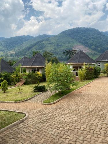 Rafiki Safari Lodge Bwindi in Kanungu Rafiki Safari Lodge Bwindi in Kanungu
