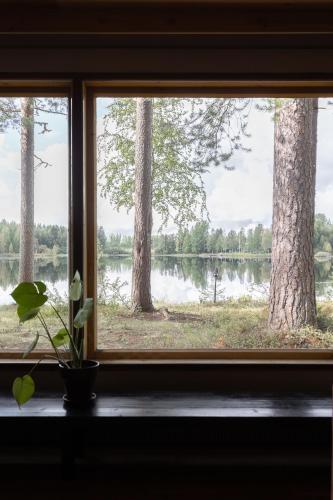 Hirsihuvila yksityisessa niemessa Petajavedella in Petajavesi Hirsihuvila yksityisessa niemessa Petajavedella in Petajavesi