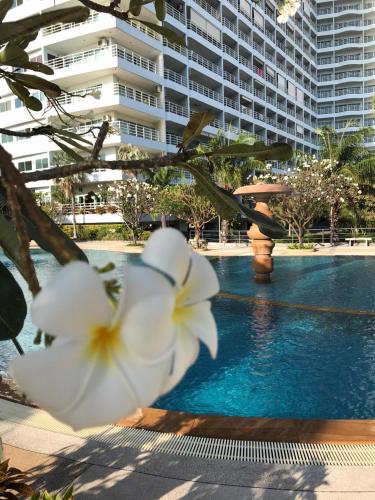 ビュー タレー コンドミニアム 7 バイ VLAD プロパティー2