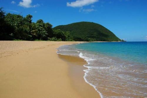 playa, Jaden Kreyol - Gîte rural central 4 à 8 pers avec spa (Jaden Kreyol - Gite rural central 4 a 8 pers avec spa) in Lamentin playa, Jaden Kreyol - Gîte rural central 4 à 8 pers avec spa (Jaden Kreyol - Gite rural central 4 a 8 pers avec spa) in Lamentin