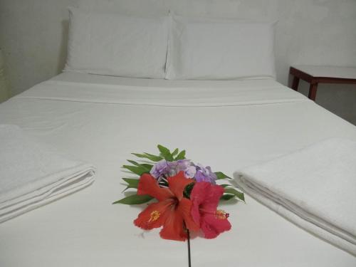 Kathy B Guesthouse in Luganville Kathy B Guesthouse in Luganville