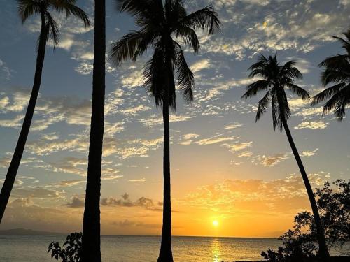 Apartamentos La Torre in Rio San Juan Apartamentos La Torre in Rio San Juan